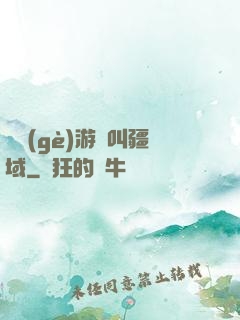 這個(gè)游戲叫疆域