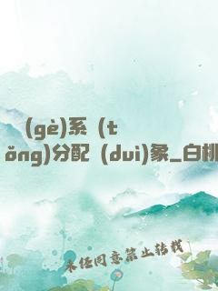 這個(gè)系統(tǒng)分配對(duì)象