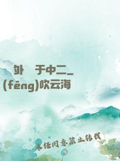 這個外掛過于中二