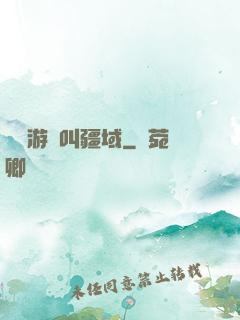 這個游戲叫疆域