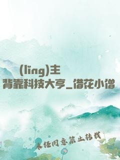 這個領(lǐng)主背靠科技大亨