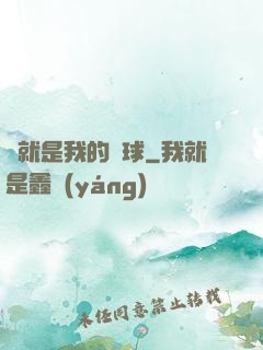 這就是我的籃球