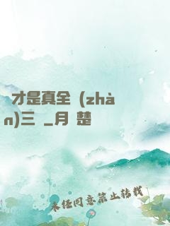 這才是真全戰(zhàn)三國