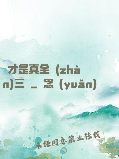 這才是真全戰(zhàn)三國