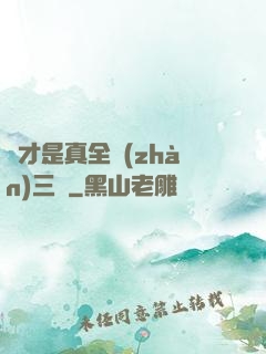 這才是真全戰(zhàn)三國