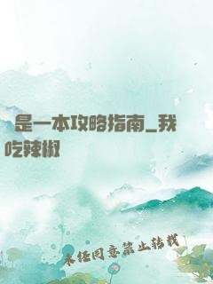 這是一本攻略指南