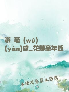 這游戲毫無(wú)體驗(yàn)感