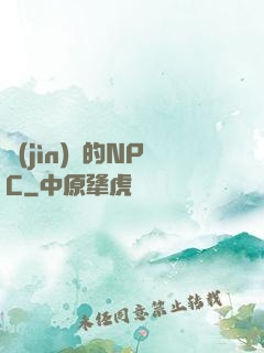 進(jìn)階的NPC