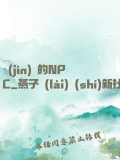 進(jìn)階的NPC