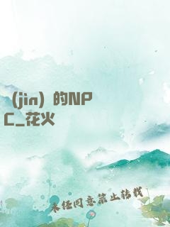 進(jìn)階的NPC
