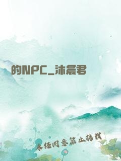 進階的NPC