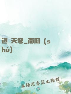 道弒天穹