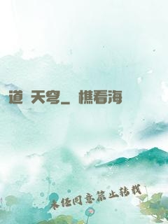 道弒天穹