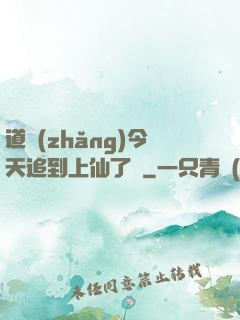 道長(zhǎng)今天追到上仙了嗎