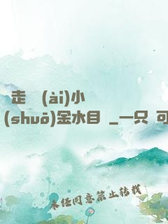 邊走邊愛(ài)小說(shuō)金水目錄