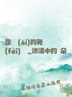 邊走邊愛(ài)的免費(fèi)閱讀