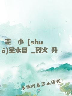 邊走邊愛小說(shuō)金水目錄