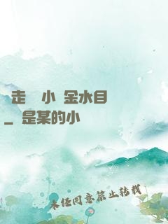 邊走邊愛小說金水目錄