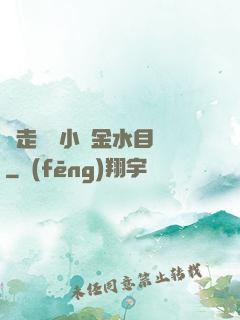 邊走邊愛小說金水目錄