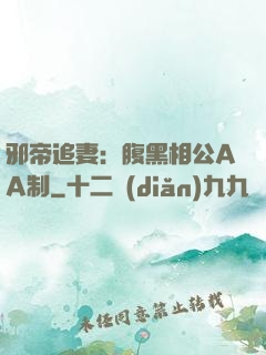 邪帝追妻：腹黑相公AA制