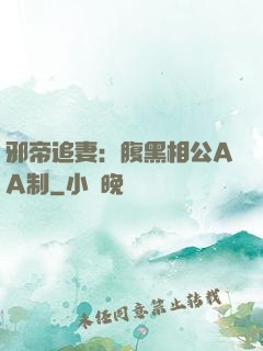 邪帝追妻：腹黑相公AA制