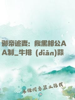 邪帝追妻：腹黑相公AA制