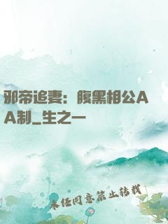 邪帝追妻：腹黑相公AA制