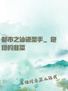 都市之仙道圣手