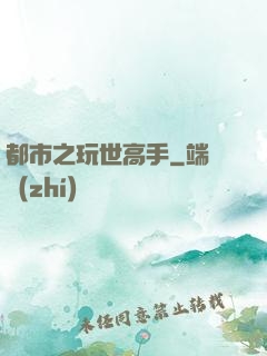 都市之玩世高手