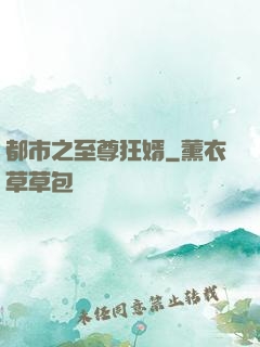 都市之至尊狂婿