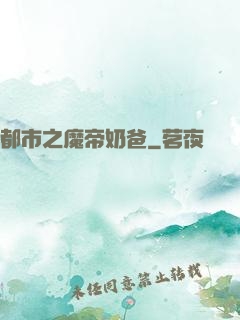 都市之魔帝奶爸
