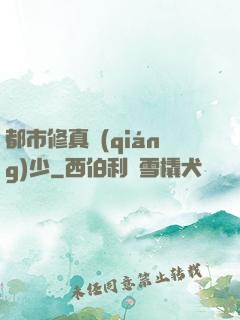 都市修真強(qiáng)少