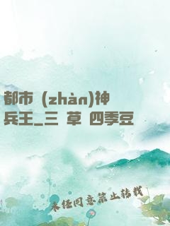 都市戰(zhàn)神兵王