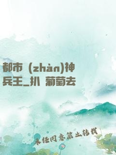 都市戰(zhàn)神兵王