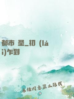 都市盜圣