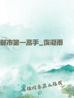 都市第一高手