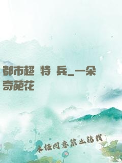 都市超級特種兵