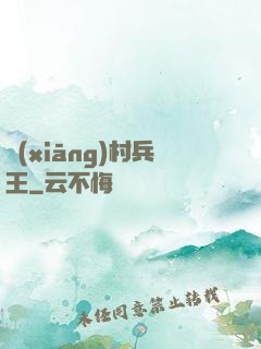 鄉(xiāng)村兵王