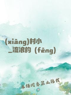 鄉(xiāng)村小無賴