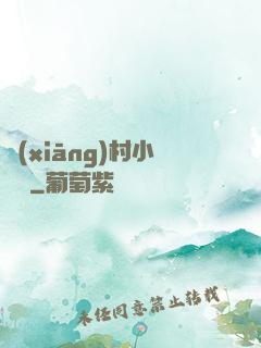 鄉(xiāng)村小無賴