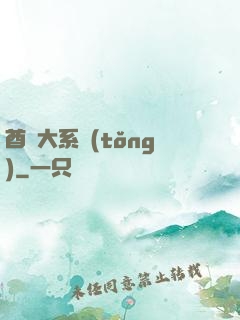 酋長大系統(tǒng)