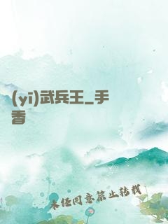 醫(yī)武兵王