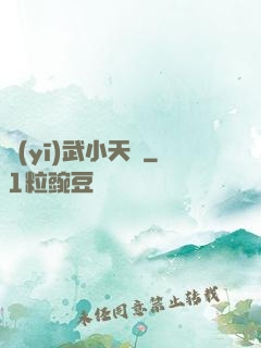 醫(yī)武小天師