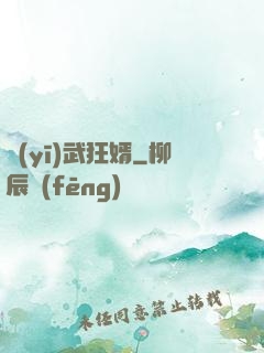 醫(yī)武狂婿