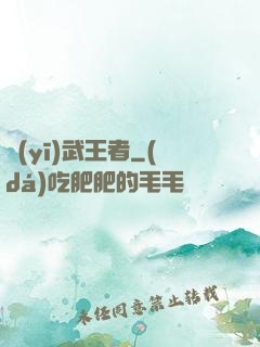 醫(yī)武王者