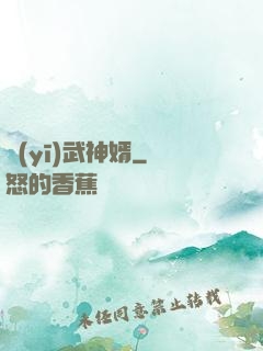 醫(yī)武神婿