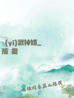 醫(yī)武神婿