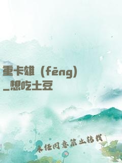 重卡雄風(fēng)