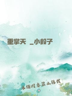 重掌天宮