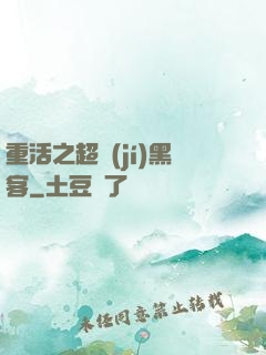 重活之超級(jí)黑客